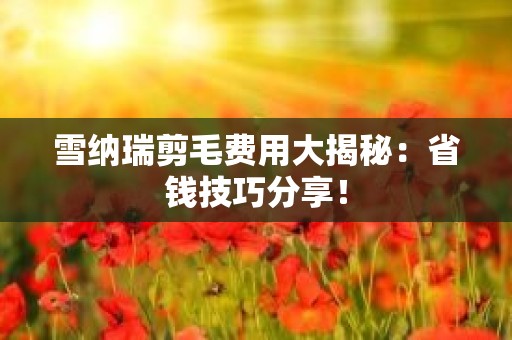 雪纳瑞剪毛费用大揭秘：省钱技巧分享！