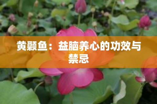 黄颡鱼：益脑养心的功效与禁忌