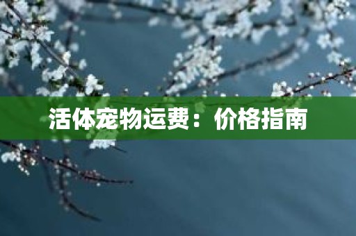 活体宠物运费：价格指南