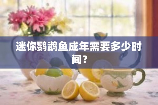 迷你鹦鹉鱼成年需要多少时间？
