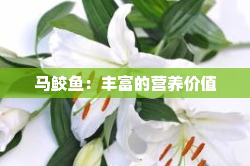 马鲛鱼：丰富的营养价值