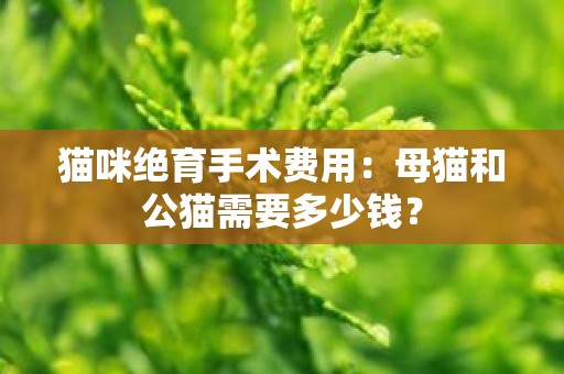 猫咪绝育手术费用：母猫和公猫需要多少钱？