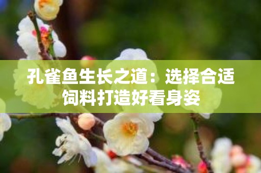 孔雀鱼生长之道：选择合适饲料打造好看身姿