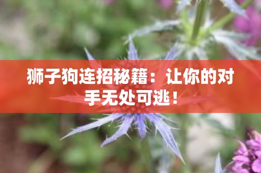 狮子狗连招秘籍：让你的对手无处可逃！