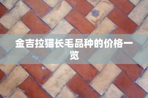 金吉拉猫长毛品种的价格一览