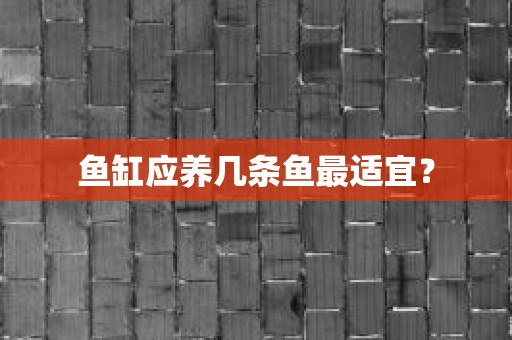 鱼缸应养几条鱼最适宜？