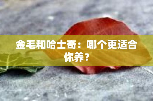 金毛和哈士奇：哪个更适合你养？