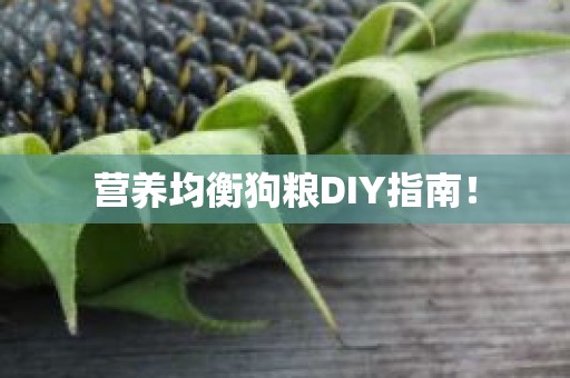 营养均衡狗粮DIY指南！