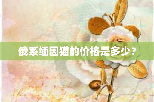 俄系缅因猫的价格是多少？
