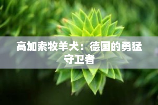 高加索牧羊犬：德国的勇猛守卫者