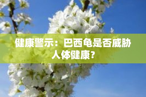 健康警示：巴西龟是否威胁人体健康？