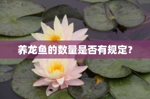 养龙鱼的数量是否有规定？