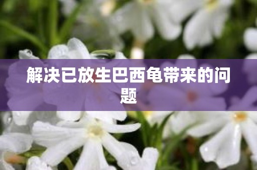 解决已放生巴西龟带来的问题