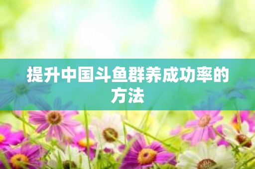 提升中国斗鱼群养成功率的方法