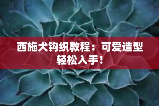 西施犬钩织教程：可爱造型轻松入手！