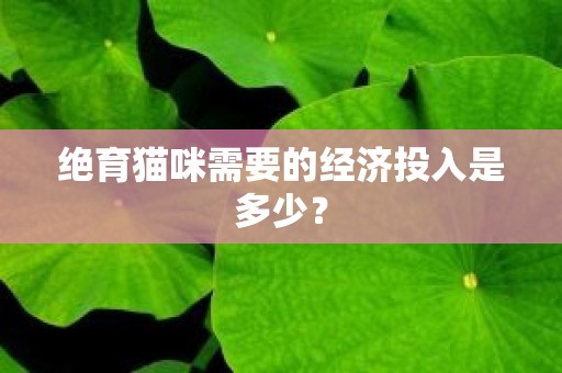 绝育猫咪需要的经济投入是多少？