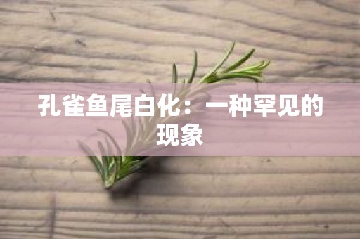 孔雀鱼尾白化：一种罕见的现象