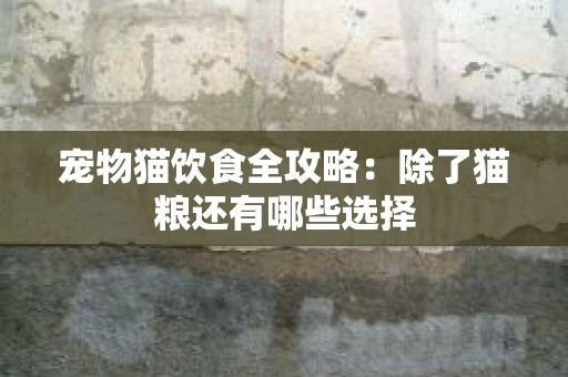 宠物猫饮食全攻略：除了猫粮还有哪些选择