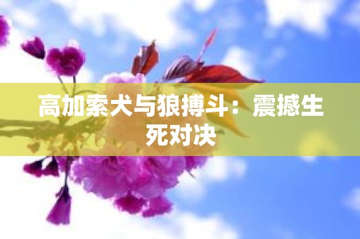 高加索犬与狼搏斗：震撼生死对决