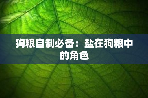 狗粮自制必备：盐在狗粮中的角色