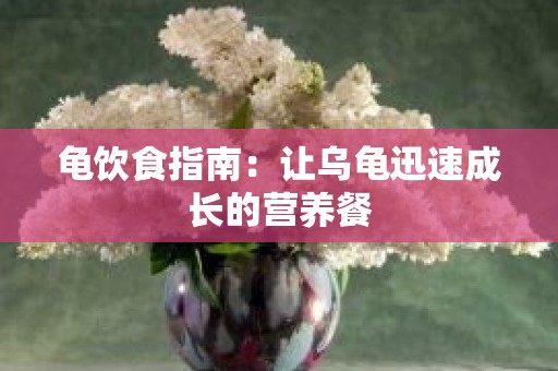 龟饮食指南：让乌龟迅速成长的营养餐