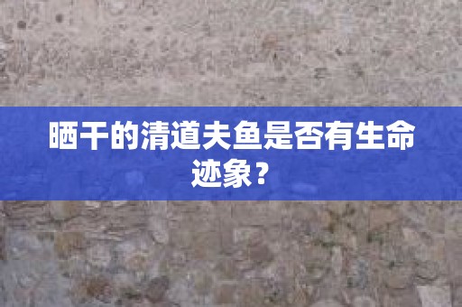 晒干的清道夫鱼是否有生命迹象？