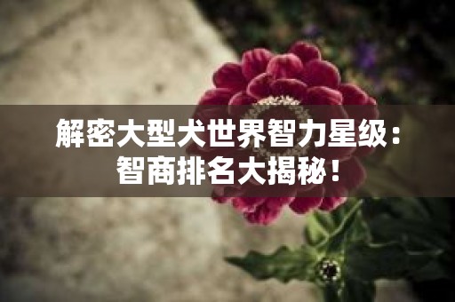 解密大型犬世界智力星级：智商排名大揭秘！