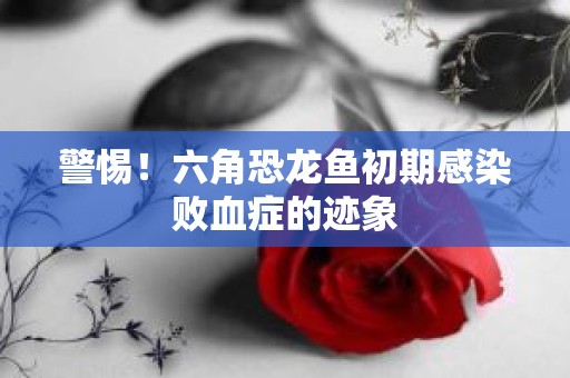 警惕！六角恐龙鱼初期感染败血症的迹象