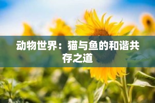 动物世界：猫与鱼的和谐共存之道