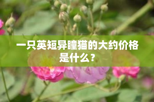 一只英短异瞳猫的大约价格是什么？