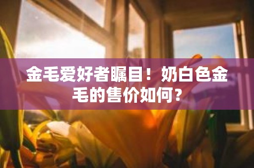 金毛爱好者瞩目！奶白色金毛的售价如何？