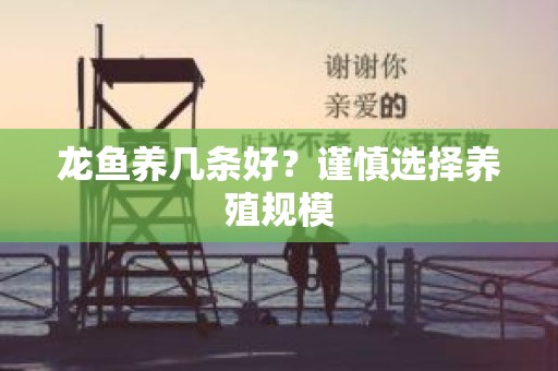 龙鱼养几条好？谨慎选择养殖规模