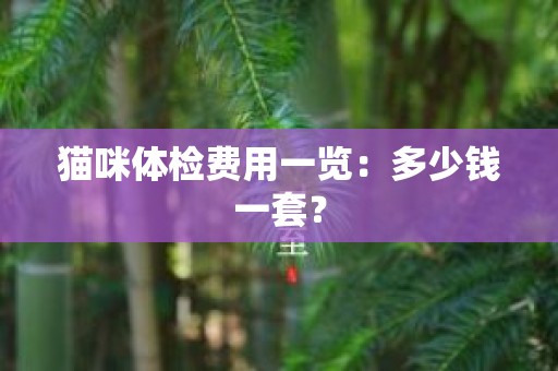猫咪体检费用一览：多少钱一套？