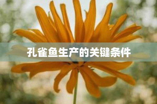 孔雀鱼生产的关键条件