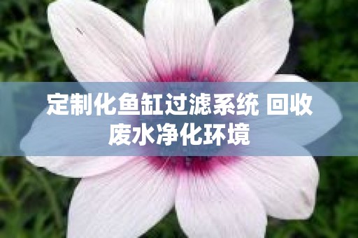 定制化鱼缸过滤系统 回收废水净化环境