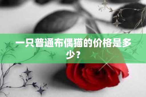 一只普通布偶猫的价格是多少？