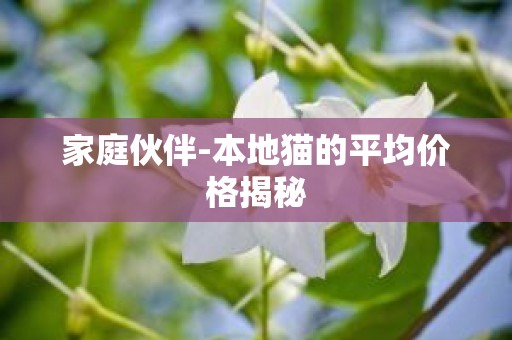 家庭伙伴-本地猫的平均价格揭秘