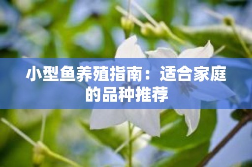 小型鱼养殖指南：适合家庭的品种推荐