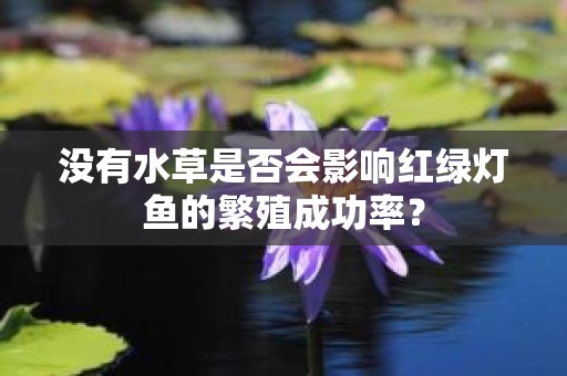 没有水草是否会影响红绿灯鱼的繁殖成功率？