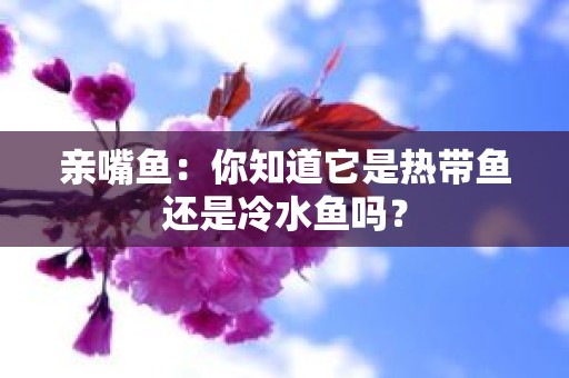 亲嘴鱼：你知道它是热带鱼还是冷水鱼吗？