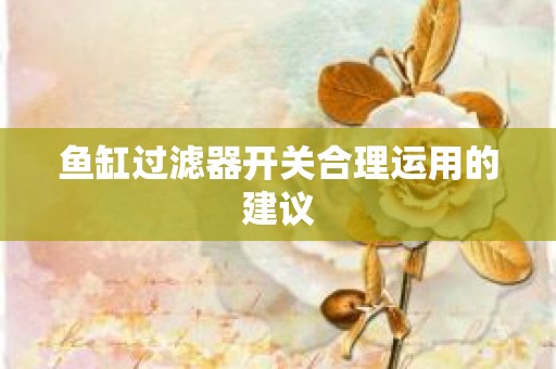 鱼缸过滤器开关合理运用的建议
