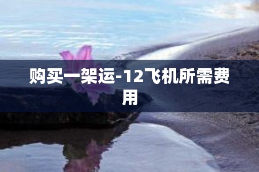购买一架运-12飞机所需费用