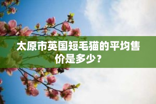 太原市英国短毛猫的平均售价是多少？