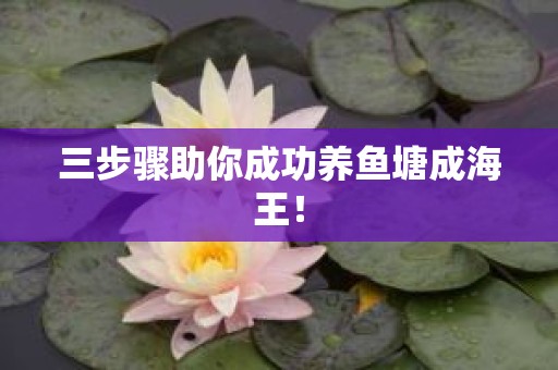 三步骤助你成功养鱼塘成海王！