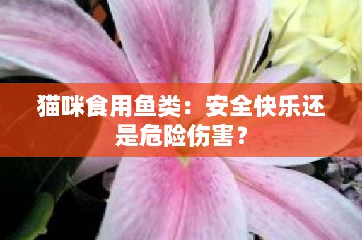 猫咪食用鱼类：安全快乐还是危险伤害？