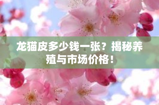 龙猫皮多少钱一张？揭秘养殖与市场价格！