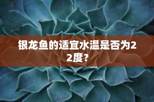 银龙鱼的适宜水温是否为22度？