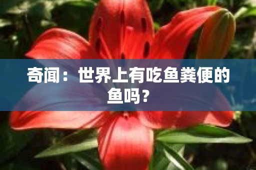 奇闻：世界上有吃鱼粪便的鱼吗？