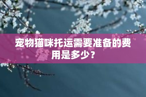 宠物猫咪托运需要准备的费用是多少？