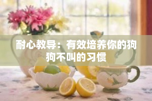 耐心教导：有效培养你的狗狗不叫的习惯